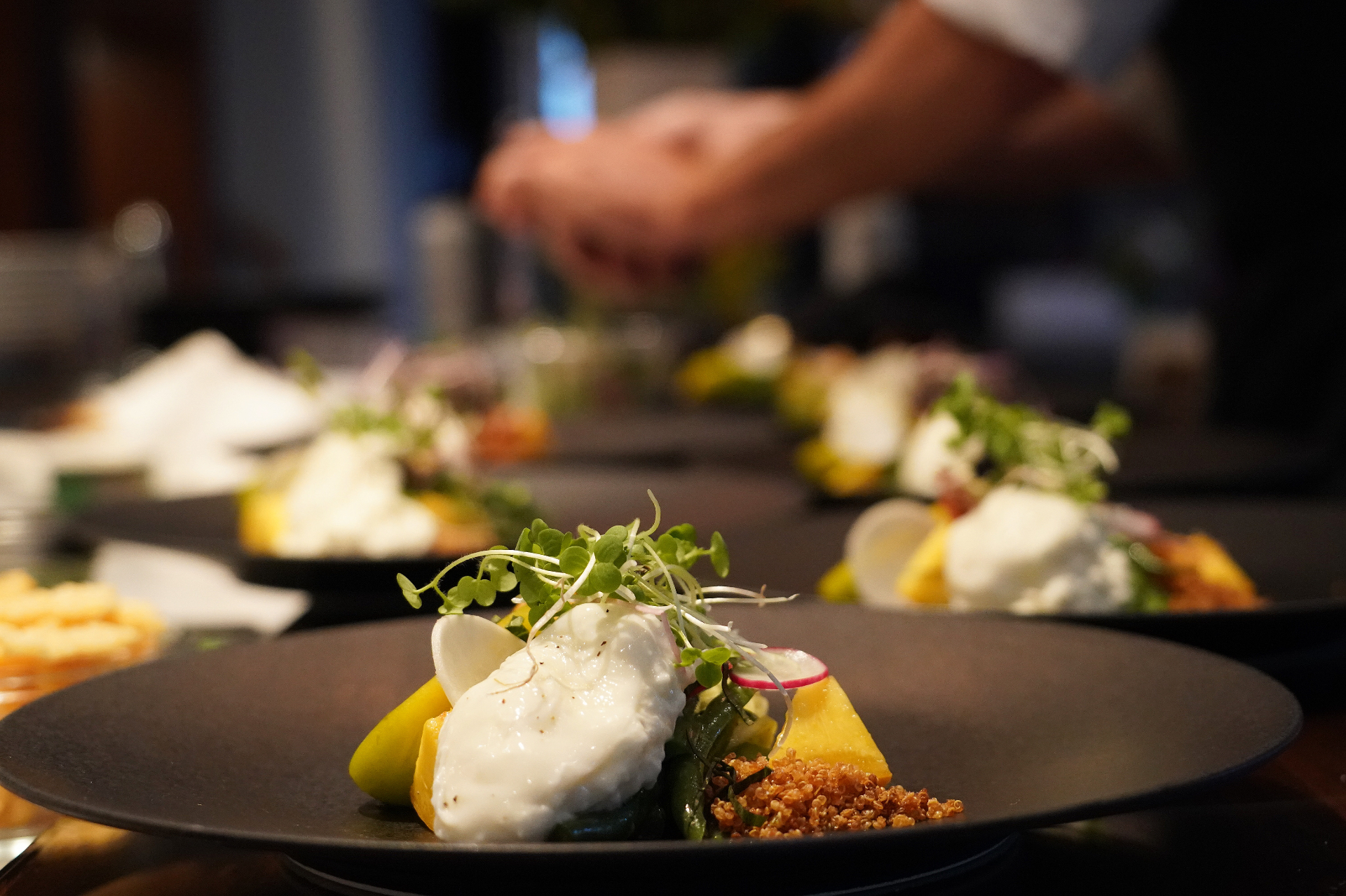 Burrata with summer vegetables, radish and crispy quinoa at a chef's table